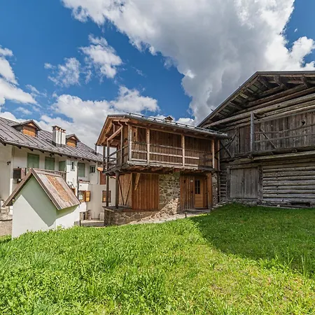 The *